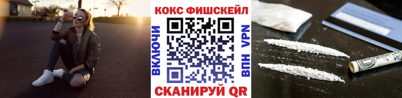 купить наркотик  Гурьевск  КОКАИН Fish Scale 