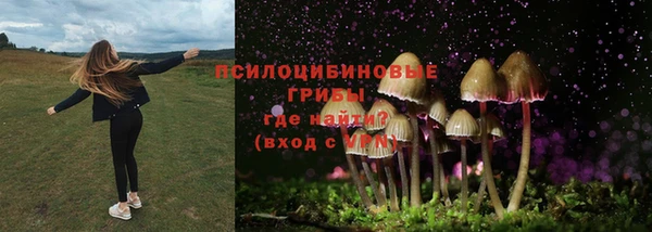 mdpv Арсеньев