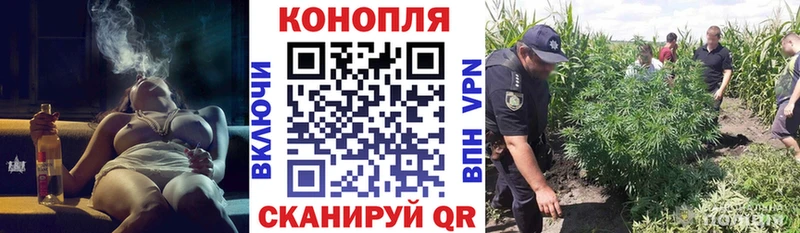 Конопля Amnesia  купить наркотик  Гурьевск 